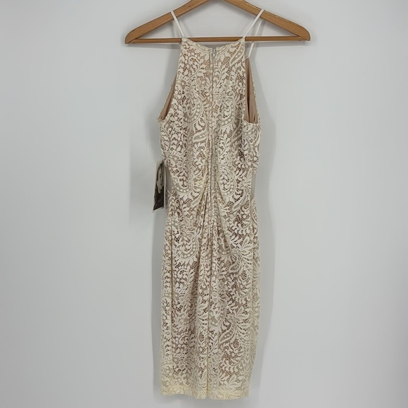 Love, Nickie Lew Lace Bodycon Midi Dress - Picture 8 of 16